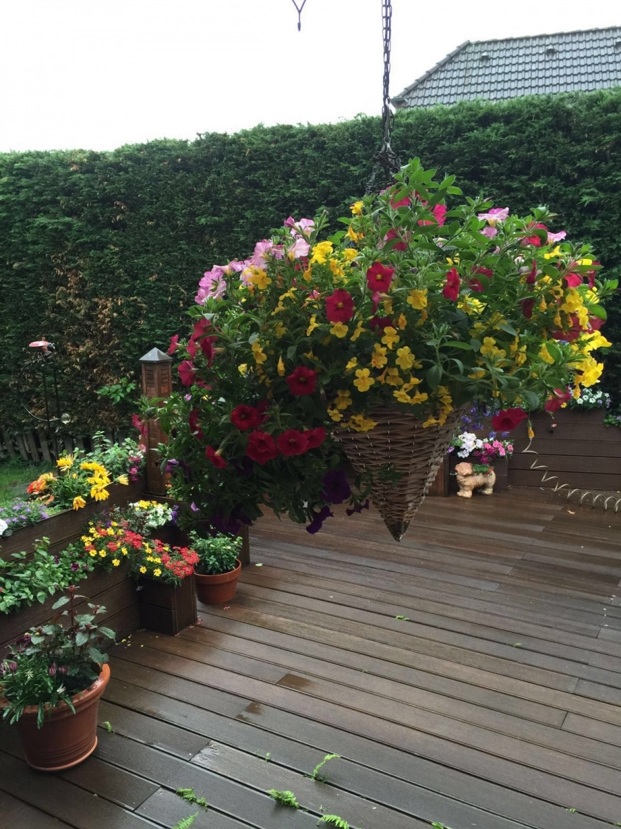 Garten Erens 1