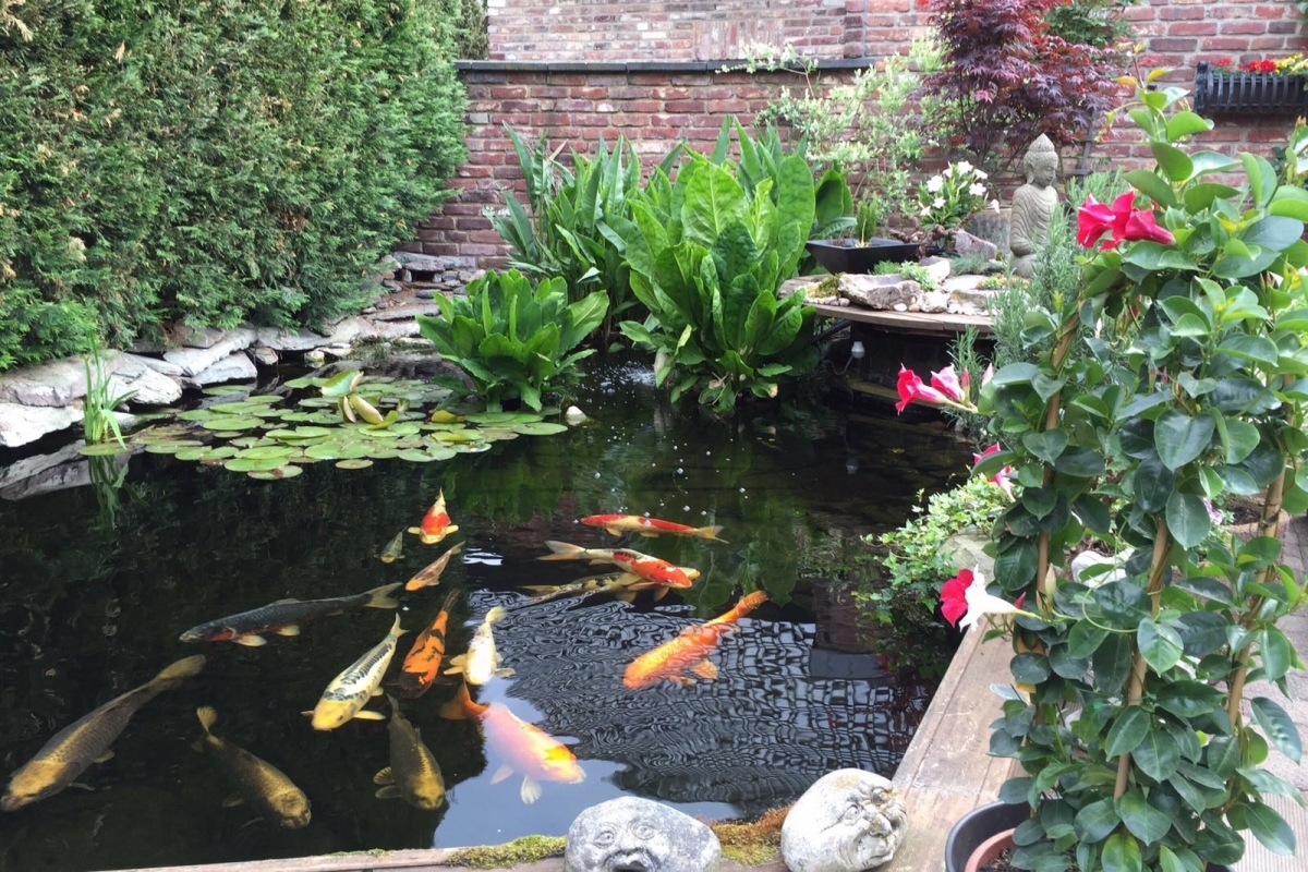 Garten Erens 2